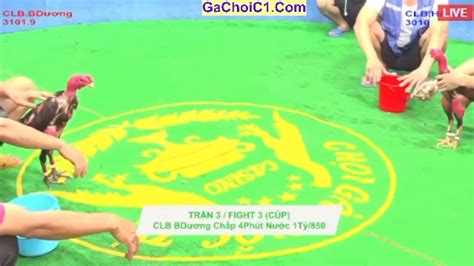 gachoic1.com-dakpuer